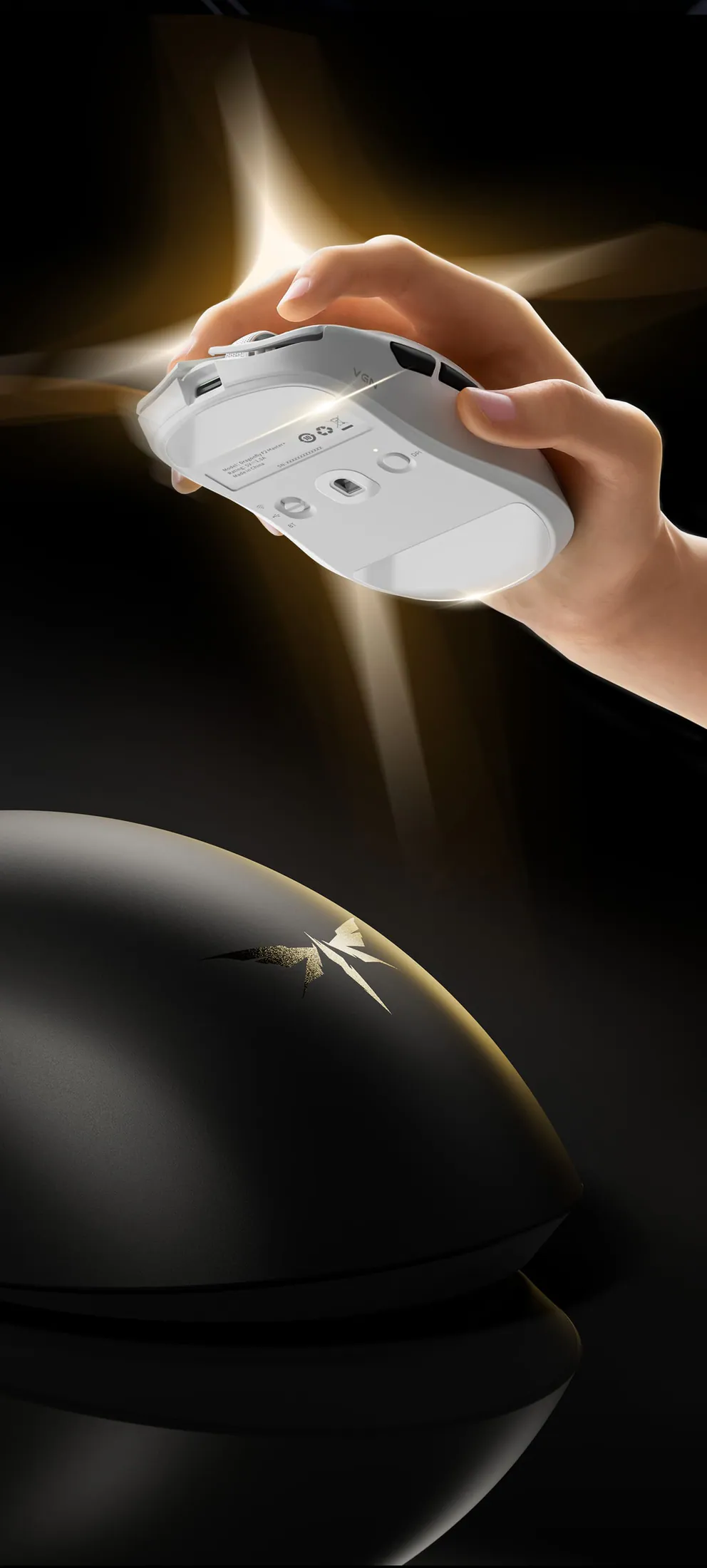 VGN F2 detail 9